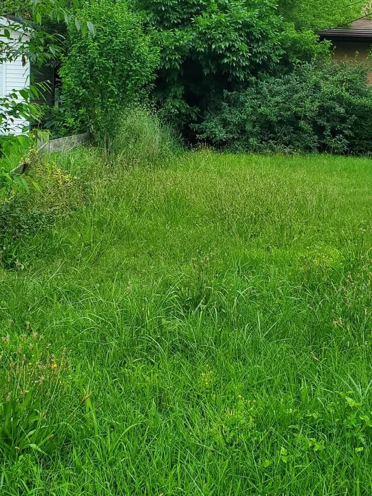 Reliable residential landscaping for beautiful yards across Paw Paw, MI - Gemini Cuts Lawn Care