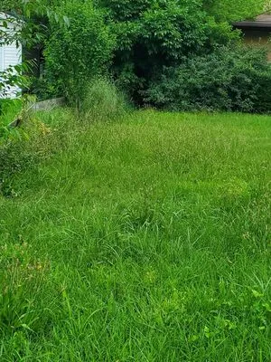 Gemini Cuts Lawn Care Logo