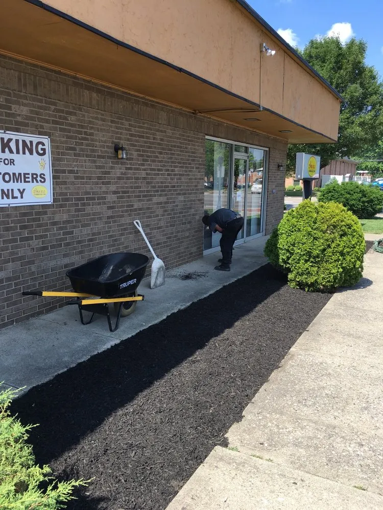 Top-rated landscape design near you across Forest Park, OH - Gemini junior lawn and yard