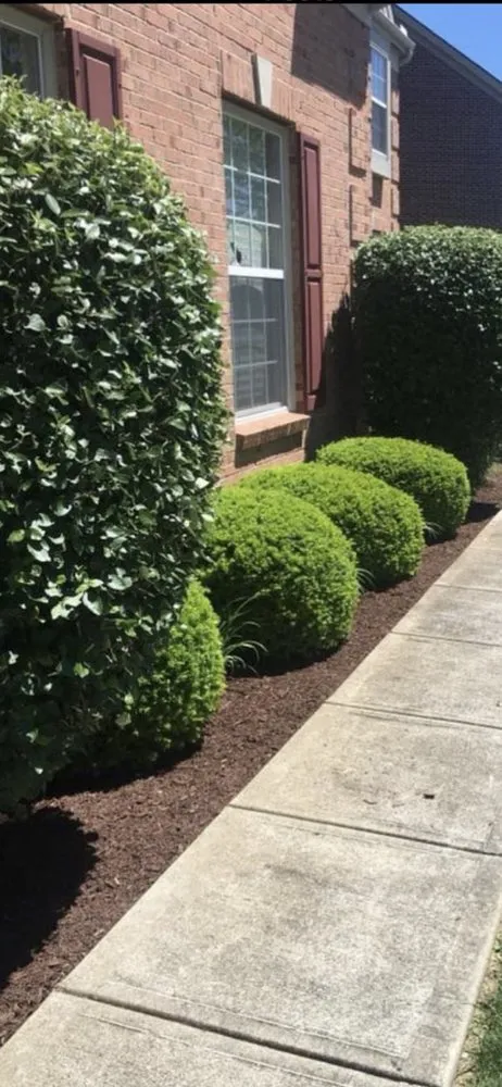 Local landscape installation near you in Forest Park, OH by Gemini junior lawn and yard