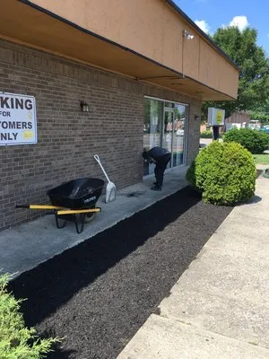 Gemini junior lawn and yard