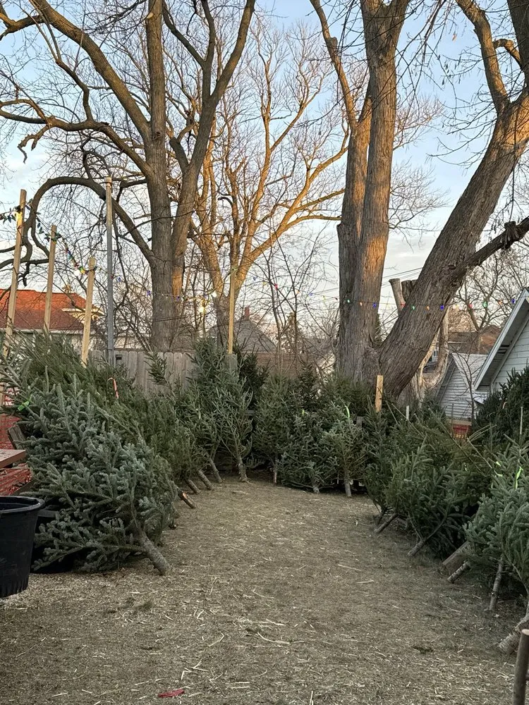 Professional outdoor landscaping near you in Madison, WI by Gemini Landscape Services