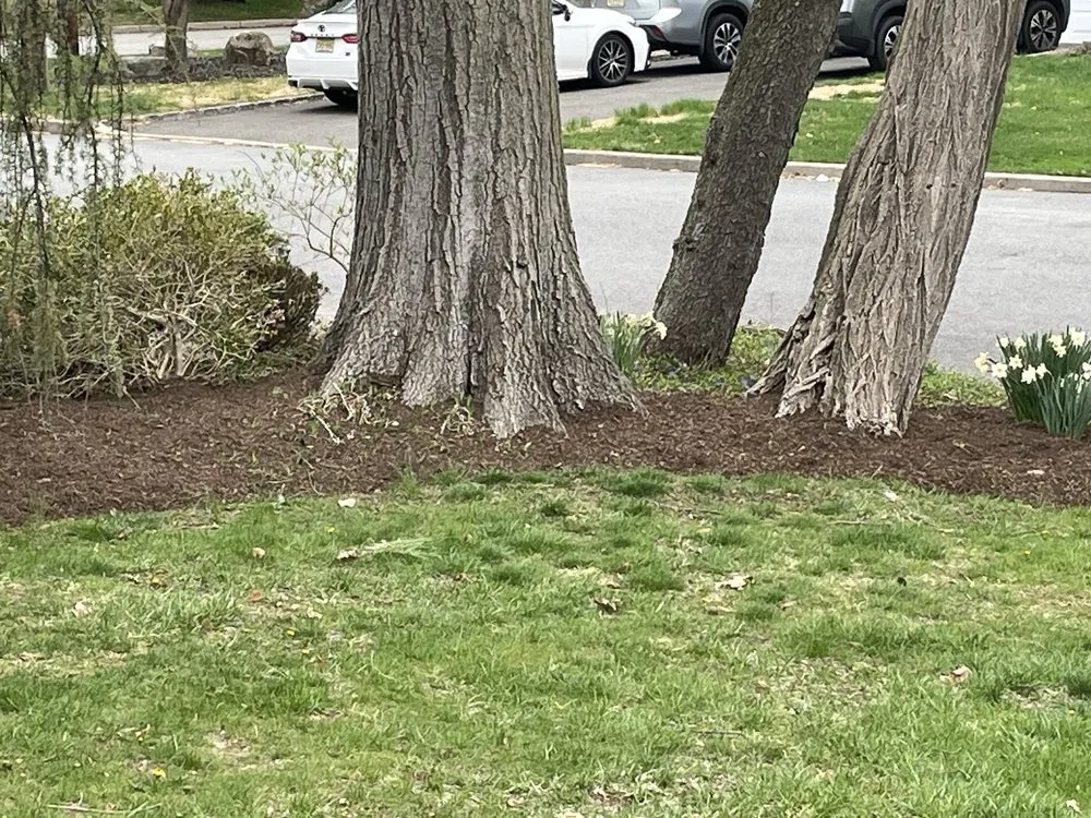 Trusted yard maintenance with custom design across Mahwah, NJ - Gemini Landscaping