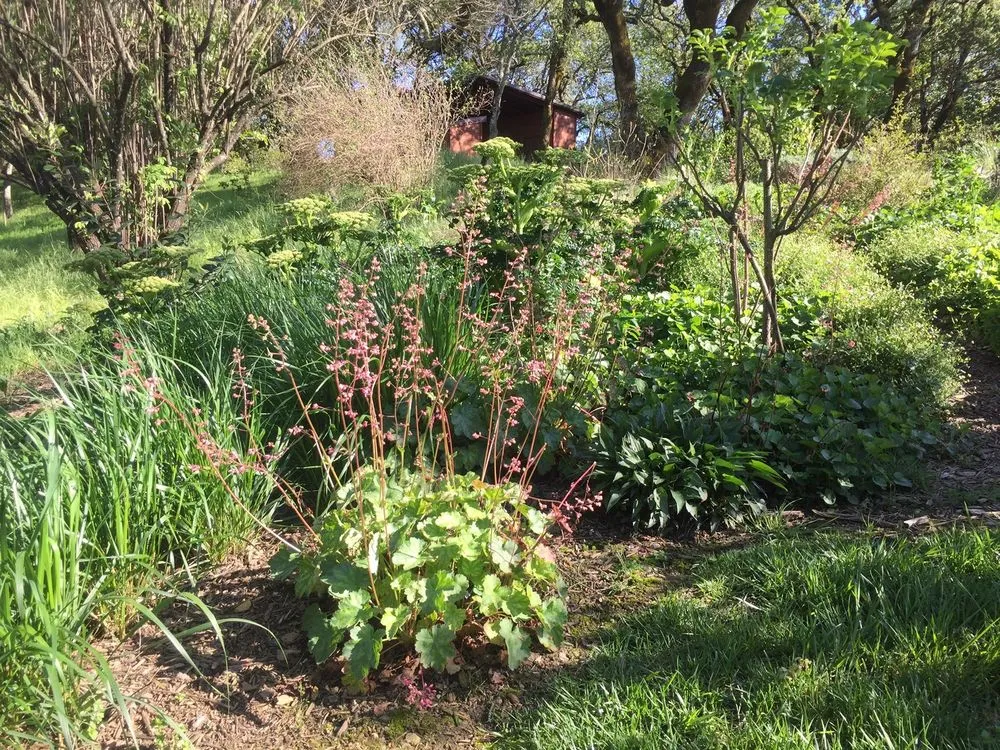 Affordable yard cleanup service for outdoor upgrades across Richmond, CA - Gemini Landscaping Services