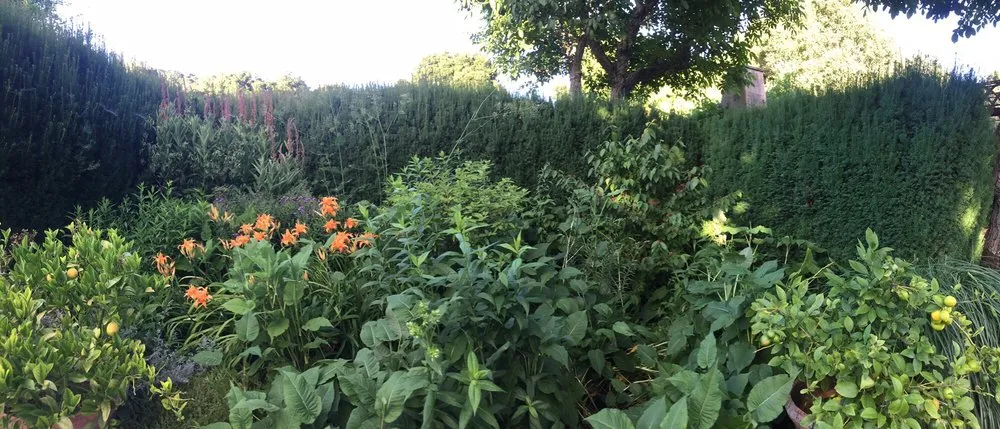 Top-rated garden landscaping for outdoor upgrades across Richmond, CA - Gemini Landscaping Services