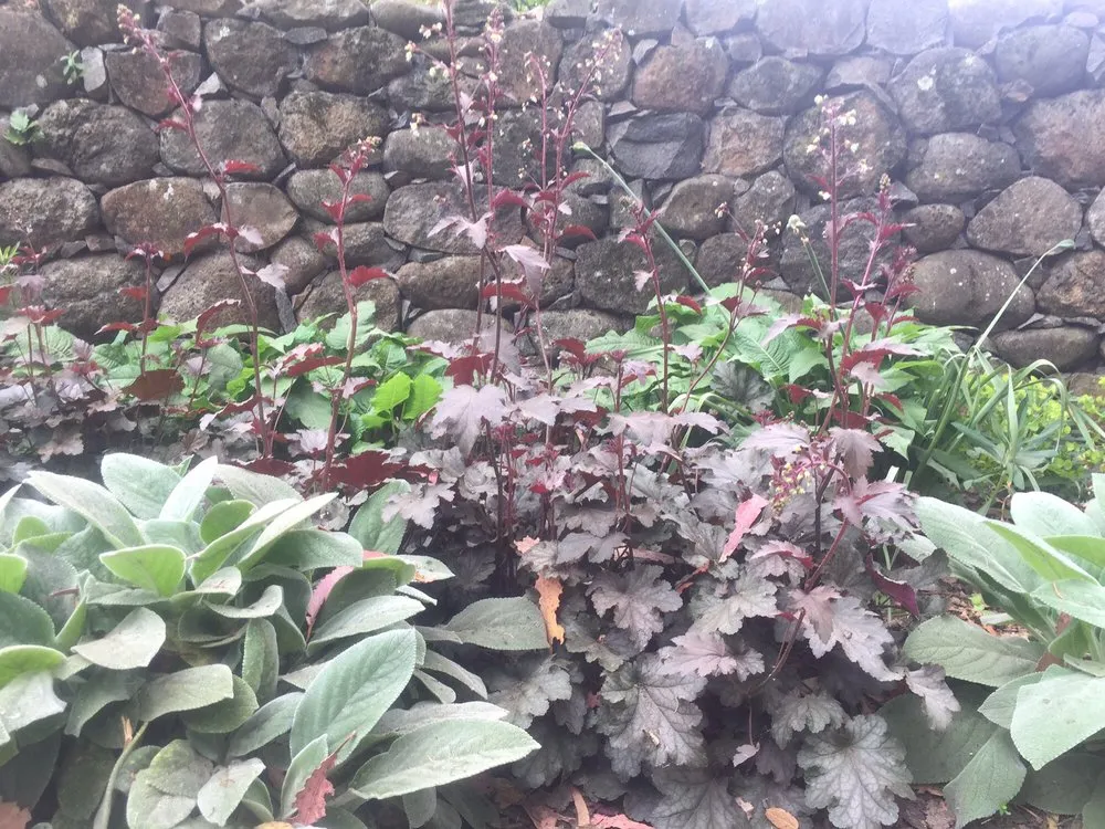 Custom landscaping services in Richmond, CA by Gemini Landscaping Services