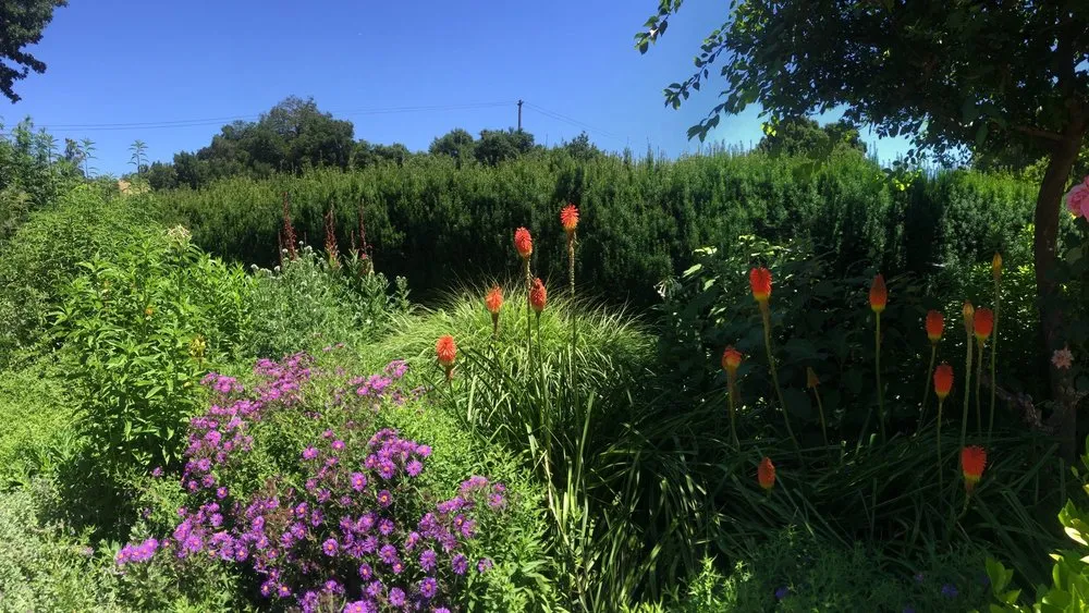 Custom residential landscaping in Richmond, CA by Gemini Landscaping Services