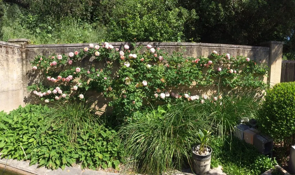 Expert landscape installation in Richmond, CA - Gemini Landscaping Services