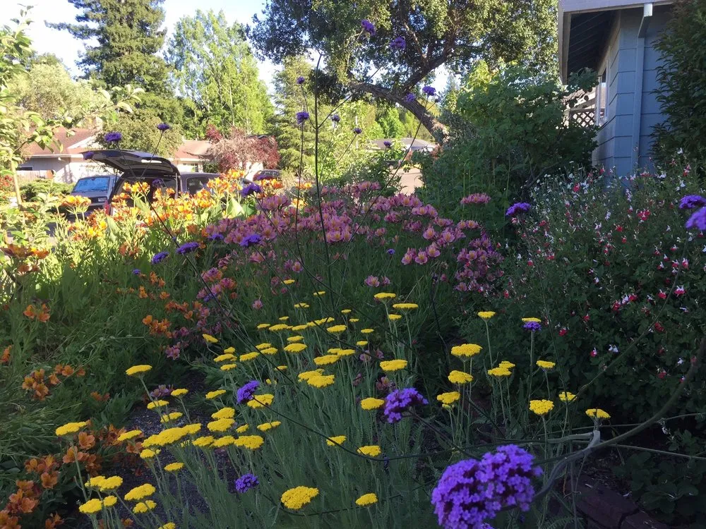 Top-rated landscape design in Richmond, CA by Gemini Landscaping Services