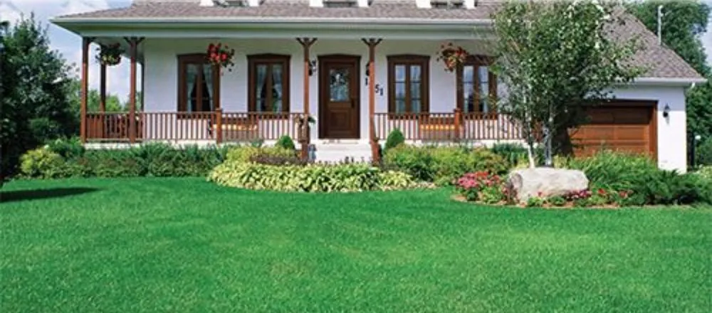 Reliable landscape design for outdoor upgrades across Riverview, FL - Gemini Presidential Coloring