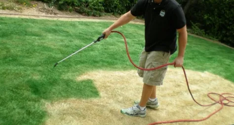 Local landscaping services in Riverview, FL by Gemini Presidential Coloring