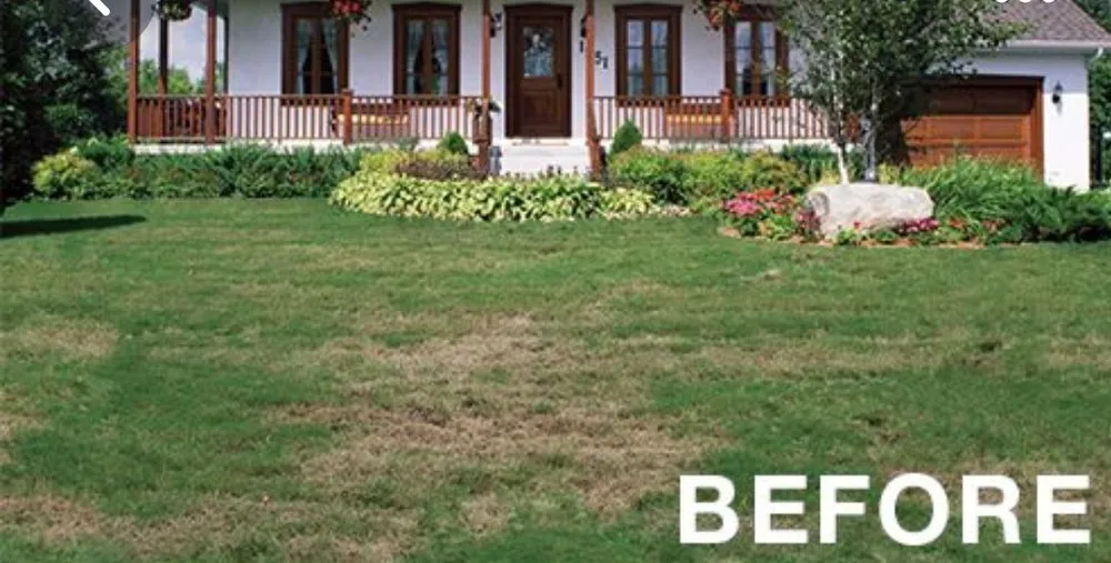 Reliable residential landscaping experts serving Riverview, FL - Gemini Presidential Coloring