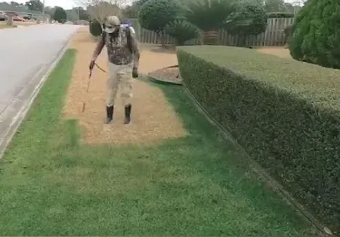 Top-rated landscape design near you in Riverview, FL by Gemini Presidential Coloring