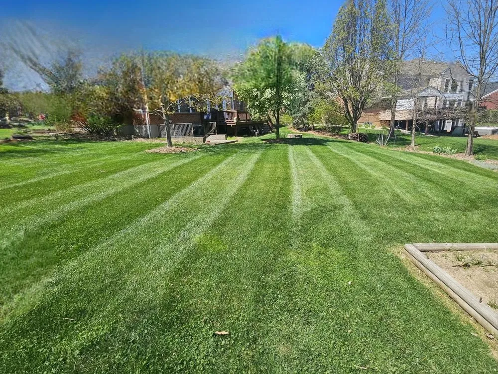 Top-rated lawn mowing service for homes in Union, KY by Gemmer's Grass Cutting Services