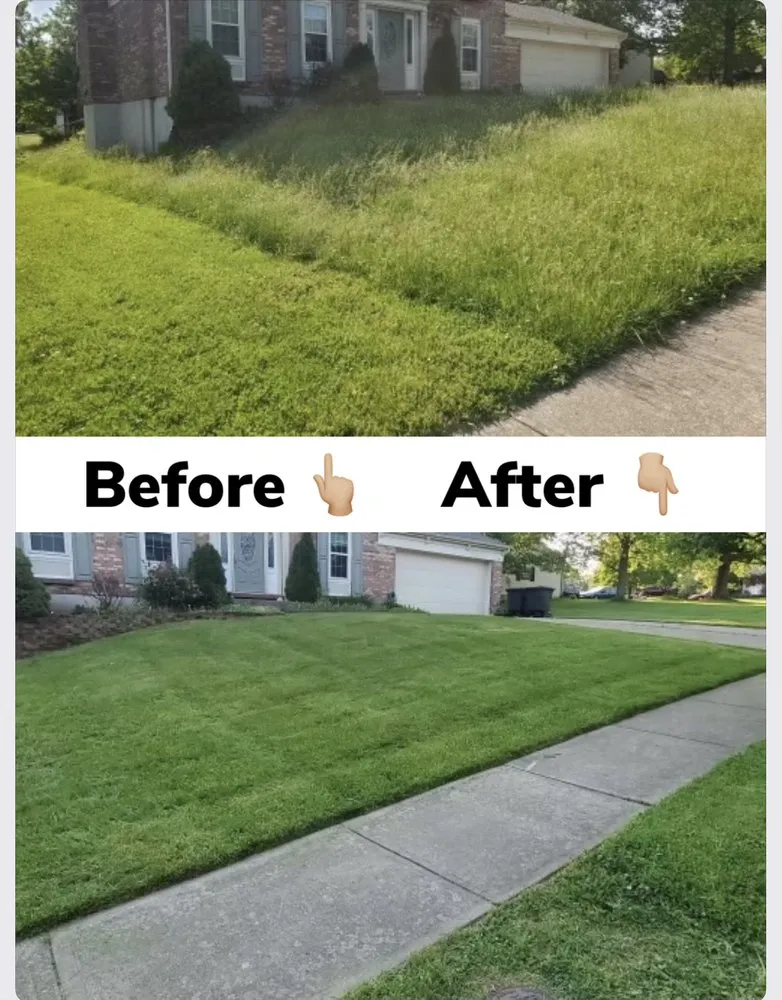 Trusted yard cleanup service for beautiful yards in Union, KY by Gemmer's Grass Cutting Services