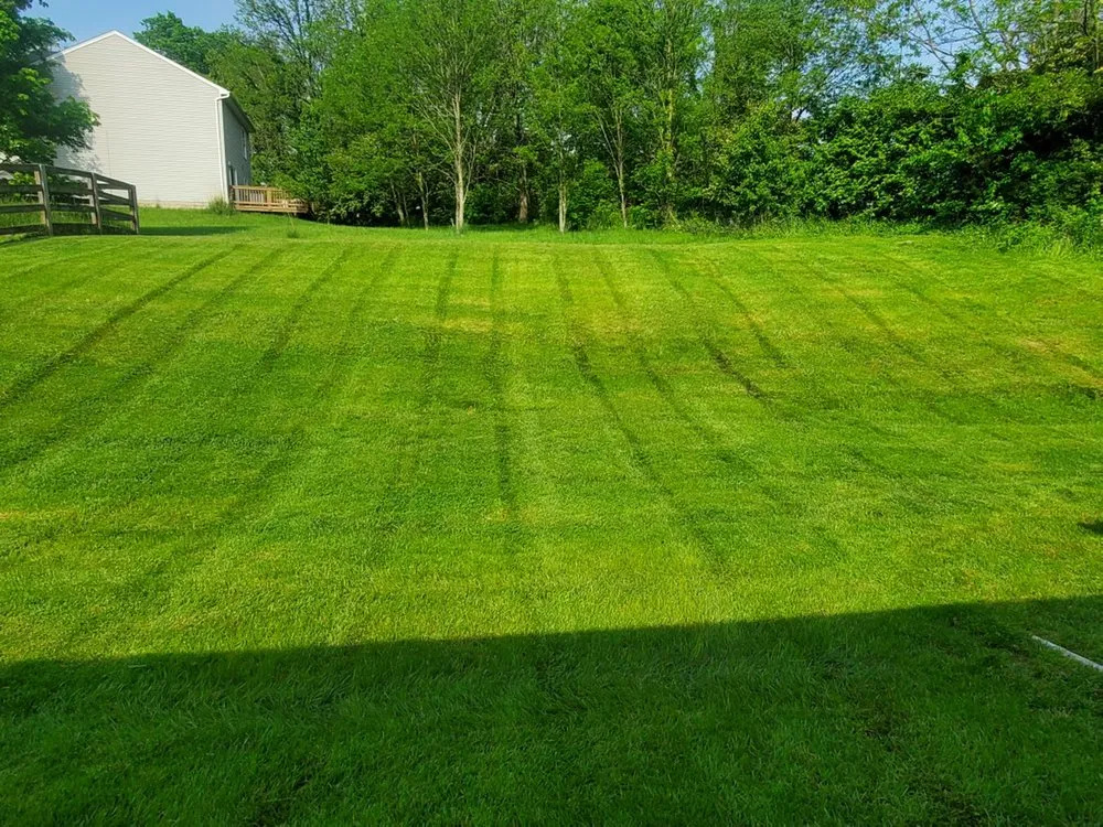 Local landscaping services experts serving Union, KY - Gemmer's Grass Cutting Services