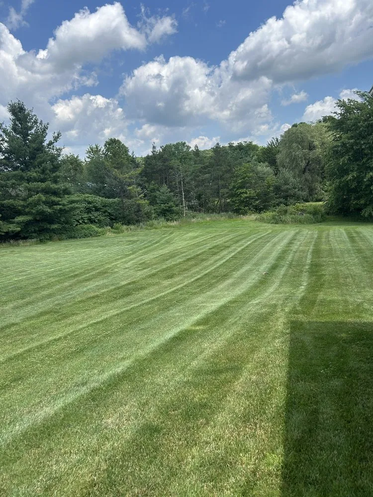 Trusted yard cleanup service in Indiana, PA by Gems Land And Development