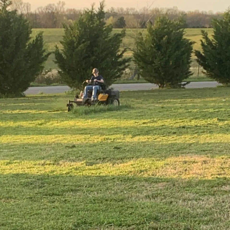 Professional landscape design in McMinnville, TN by Gen Z Property Maintenance