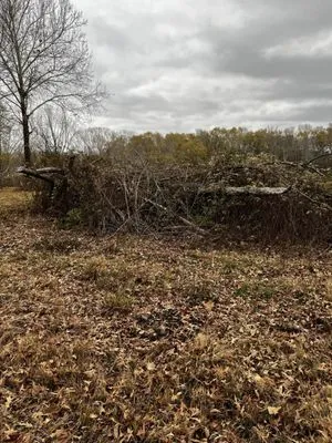 Gen Z Property Maintenance