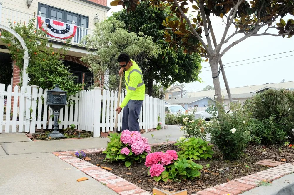 Local yard maintenance in Huntington Beach, CA by Genaro Landscape