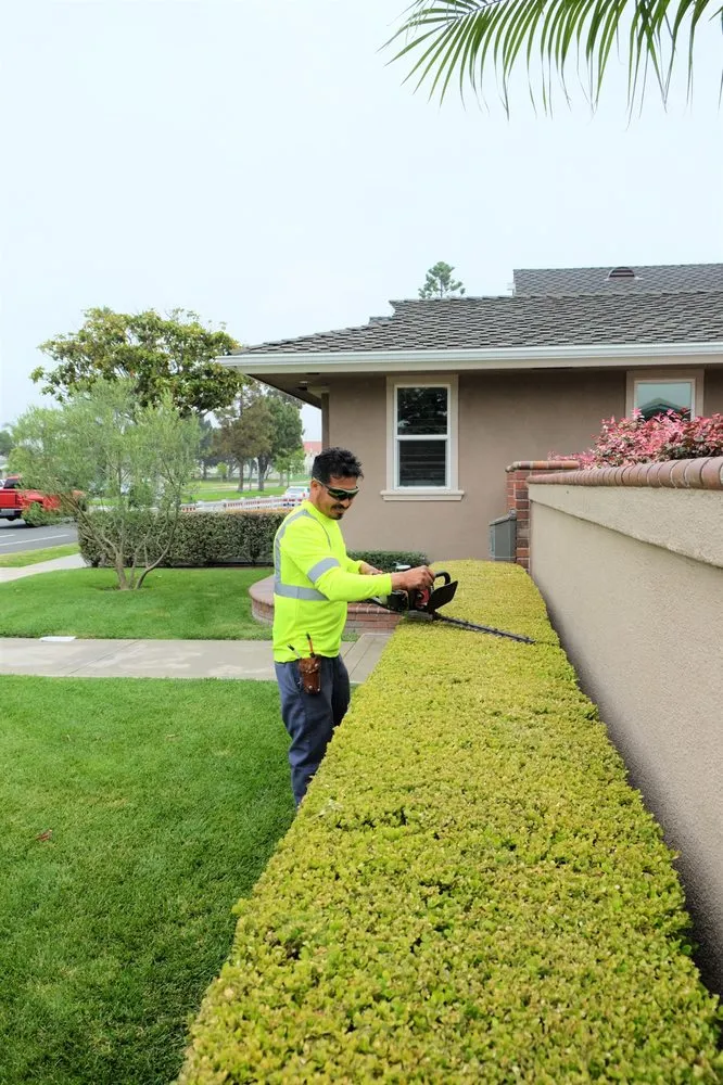 Professional landscaping services in Huntington Beach, CA by Genaro Landscape