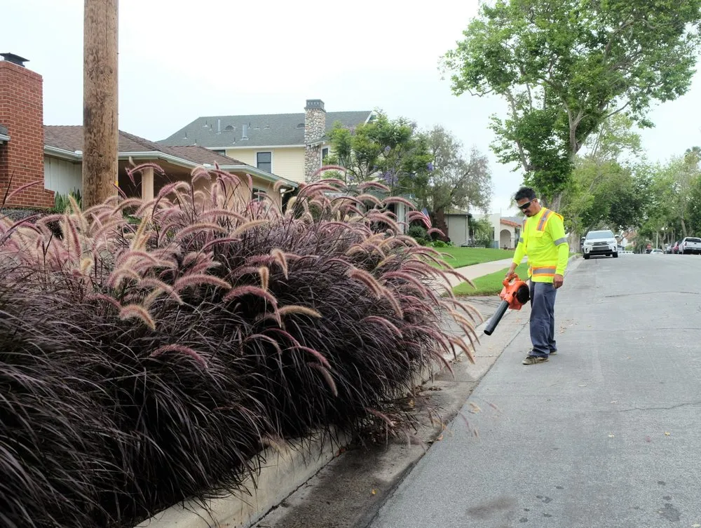 Affordable landscape installation in Huntington Beach, CA - Genaro Landscape