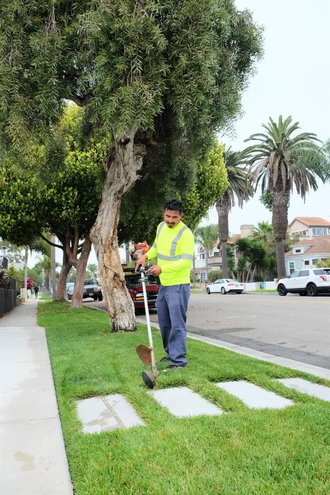 Expert residential landscaping in Huntington Beach, CA - Genaro Landscape