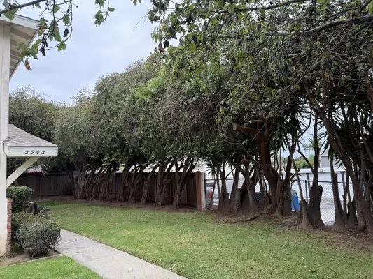 Genaro Landscape Logo