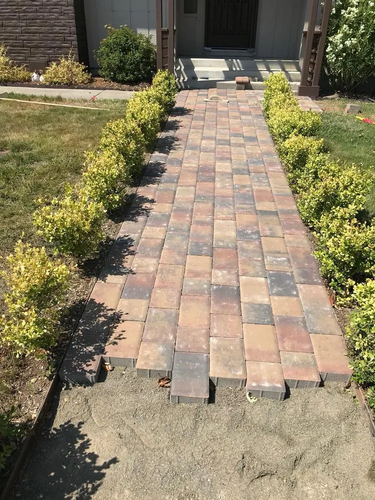 Top-rated landscaping services in Sonoma, CA - Genaro's Landscape Maintenance