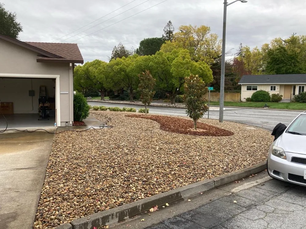 Expert yard cleanup service for beautiful yards across Sonoma, CA - Genaro's Landscape Maintenance