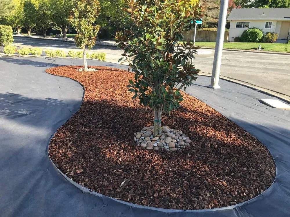 Top-rated landscaping services near you across Sonoma, CA - Genaro's Landscape Maintenance