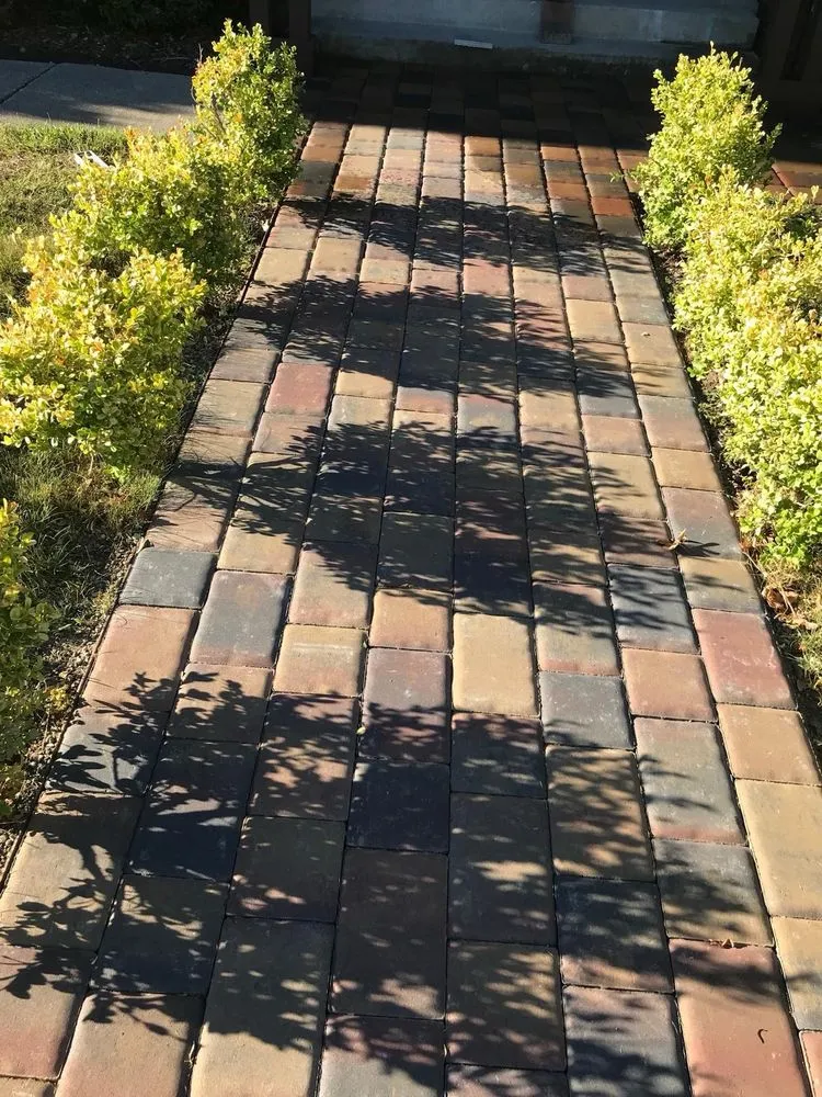 Affordable landscaping services experts serving Sonoma, CA - Genaro's Landscape Maintenance