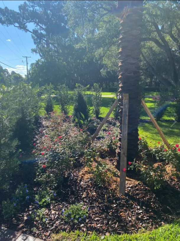 Custom residential landscaping for outdoor upgrades in Longwood, FL by Genco Environmental