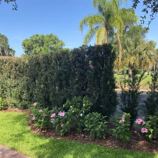 Trusted outdoor landscaping with custom design across Longwood, FL - Genco Environmental