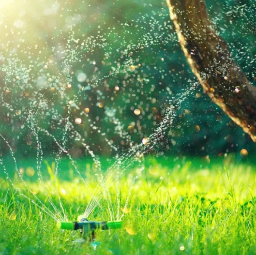 Affordable landscape design for beautiful yards across Longwood, FL - Genco Environmental