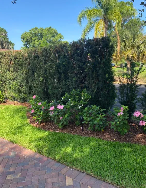 Professional outdoor landscaping for residential properties across Longwood, FL - Genco Environmental