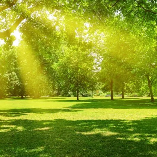 Top-rated outdoor landscaping in Longwood, FL by Genco Environmental