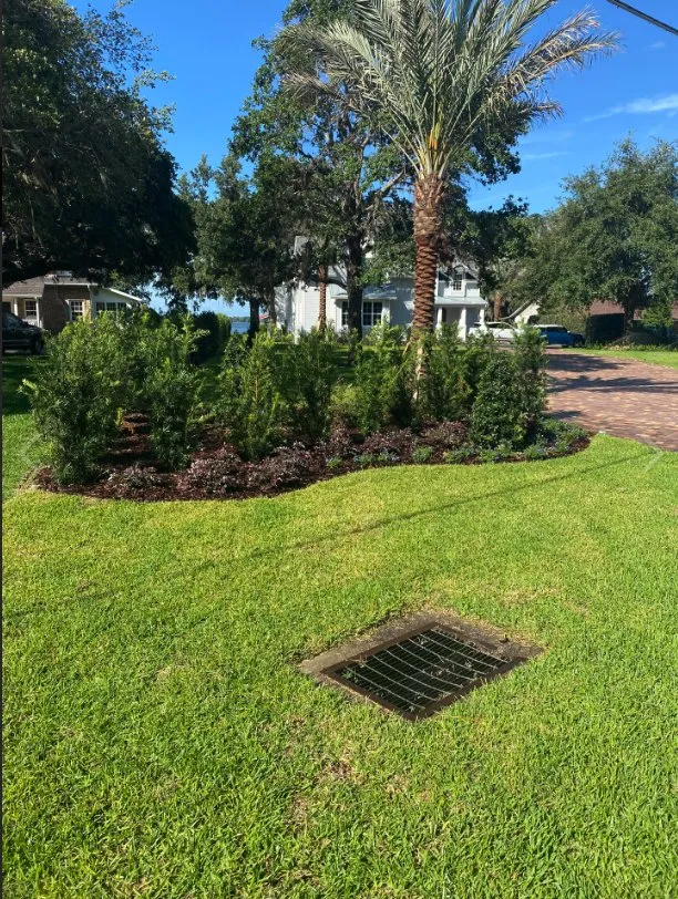Top-rated yard maintenance in Longwood, FL - Genco Environmental