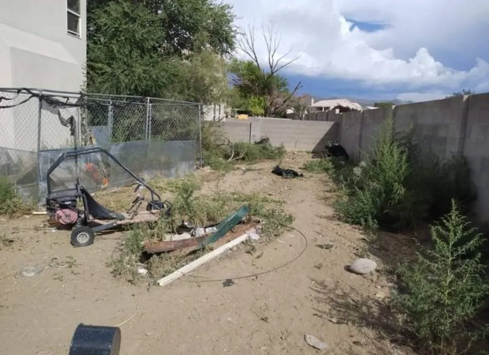 Expert lawn care service in Albuquerque, NM - Gene Scape Lawn & Landscaping