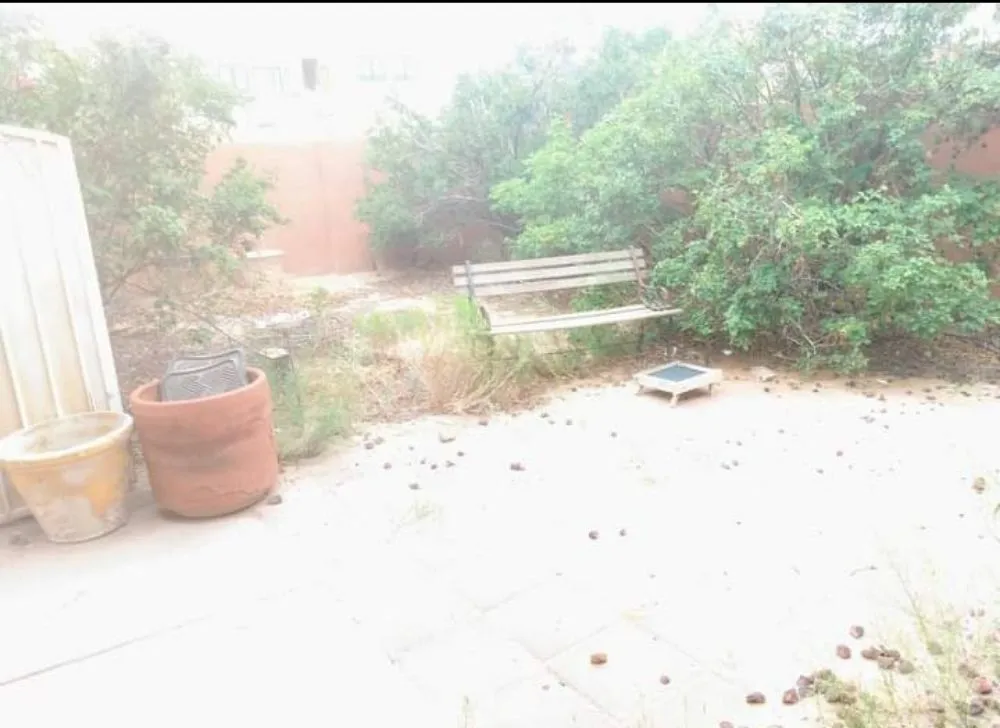 Local yard cleanup service experts serving Albuquerque, NM - Gene Scape Lawn & Landscaping