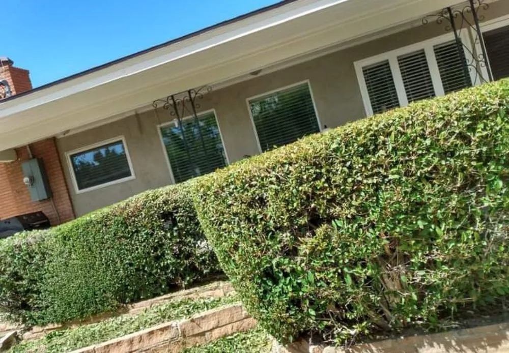 Local landscape installation for year-round maintenance across Albuquerque, NM - Gene Scape Lawn & Landscaping