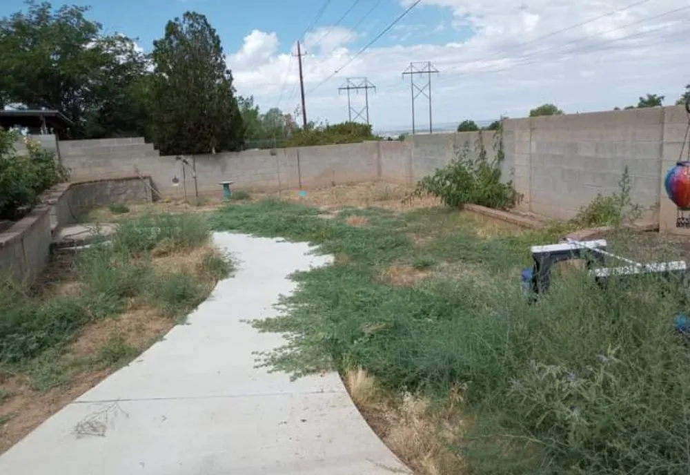 Reliable lawn care service for residential properties across Albuquerque, NM - Gene Scape Lawn & Landscaping