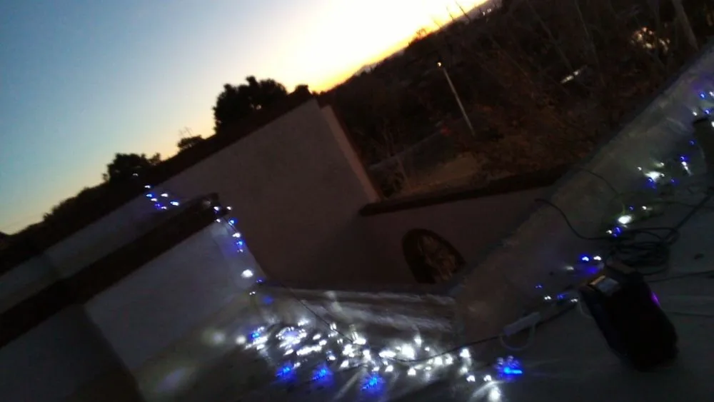 Trusted yard cleanup service in Albuquerque, NM - Gene Scape Lawn & Landscaping