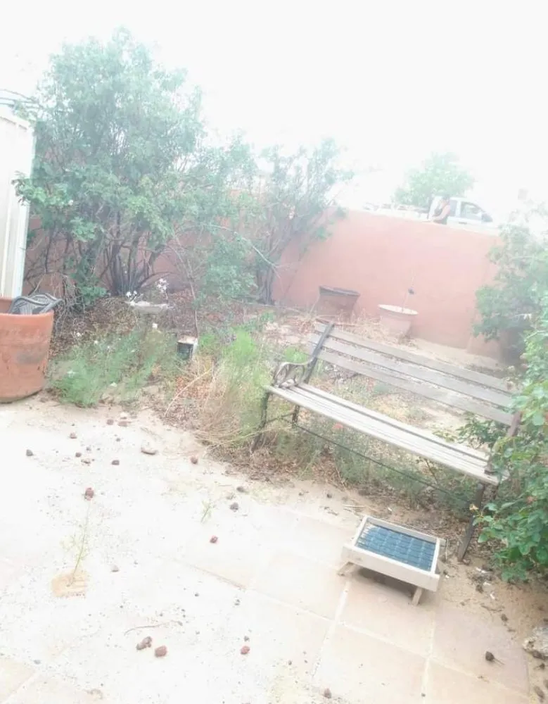 Expert yard maintenance in Albuquerque, NM by Gene Scape Lawn & Landscaping