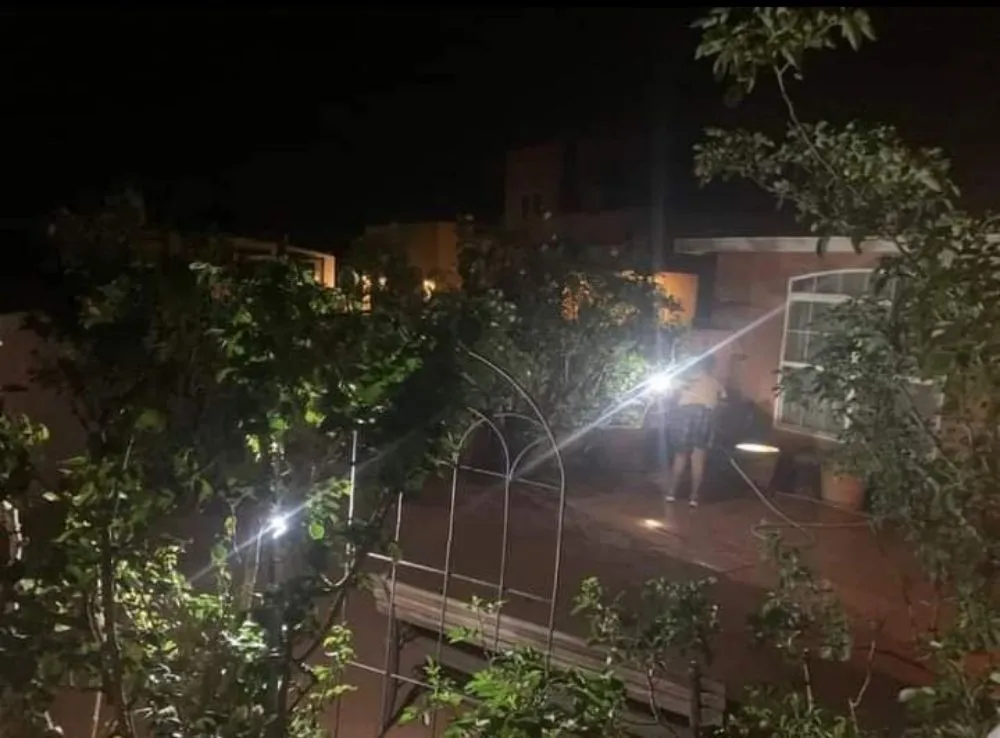 Trusted lawn mowing service experts serving Albuquerque, NM - Gene Scape Lawn & Landscaping