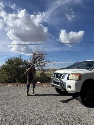 Gene Scape Lawn & Landscaping Logo