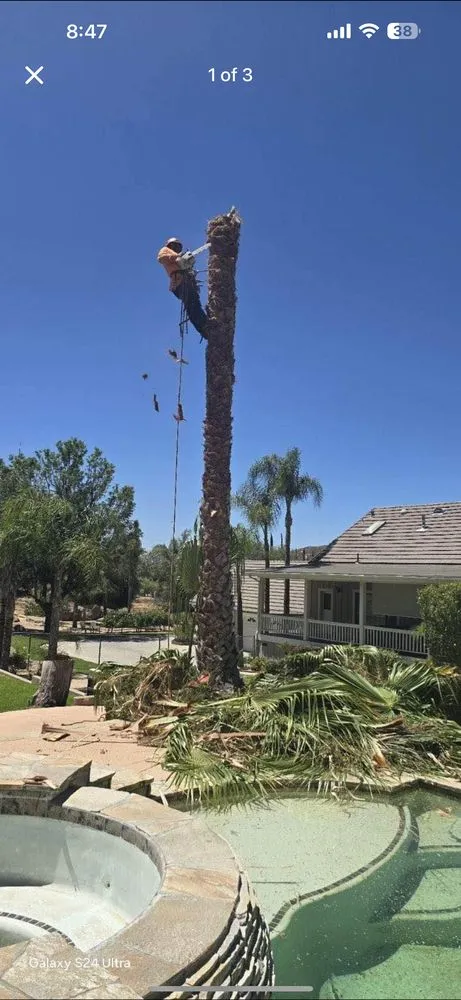 Expert garden landscaping in Fontana, CA - Generacion one