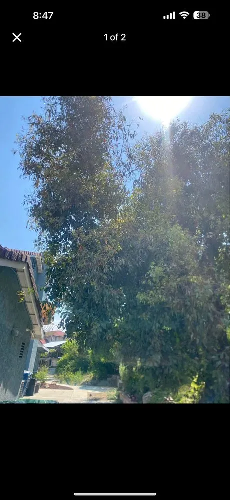 Professional yard cleanup service for outdoor upgrades across Fontana, CA - Generacion one