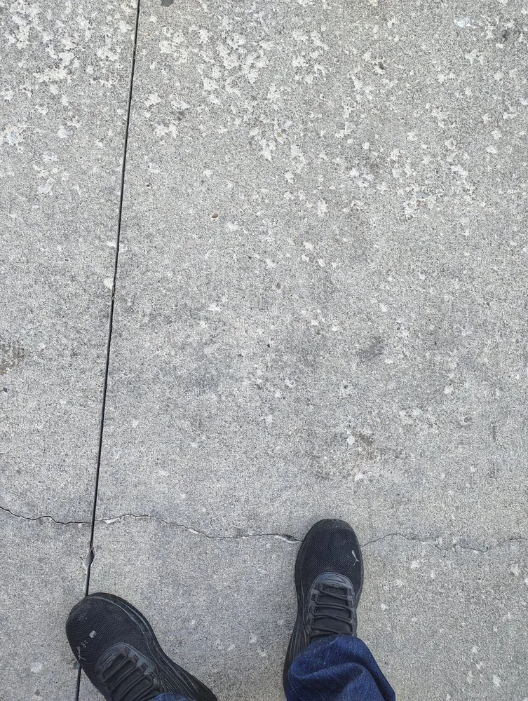 Expert yard cleanup service experts serving West Branch, IA - General Cleaning