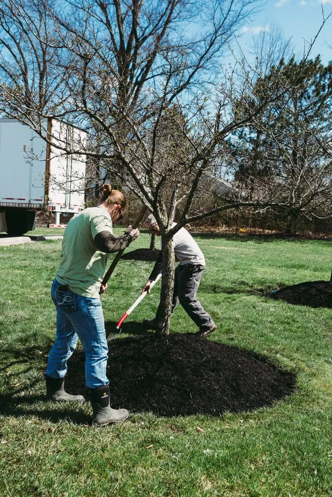 Affordable landscaping services in Ashville, OH - General Environmental Services